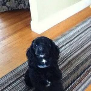 Meet your Posher, Gail